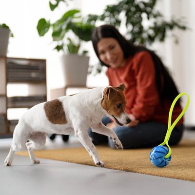 Show full view: Dogline Spiral Ball with Handle Dog Toy, Blue/Yellow, 2-in slide 8 of 8