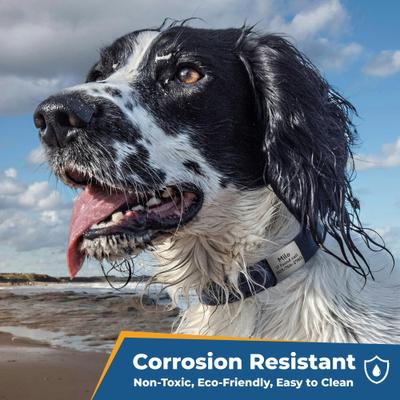 Show full view: GoTags Silent Steel Personalized Cat & Dog ID Tag, Gold, Large slide 3 of 9