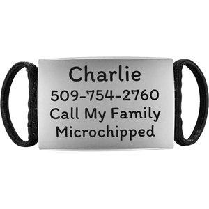 GoTags Silent Steel Personalized Cat & Dog ID Tag, Silver, Medium