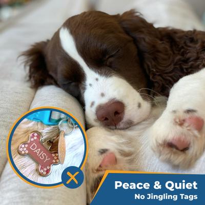 Show full view: GoTags Silent Steel Personalized Cat & Dog ID Tag, Gold, Large slide 8 of 9