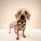 Show in main carousel: The Paws Checkmate Dog Bandana, Green, Small slide 5 of 8