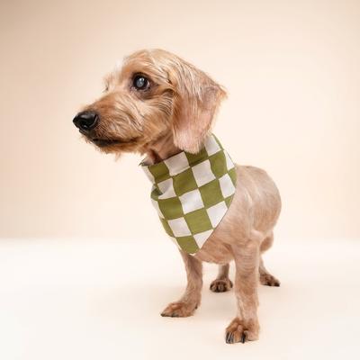 Show full view: The Paws Checkmate Dog Bandana, Green, Small slide 3 of 8