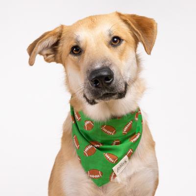 Show full view: The Paws Defender Dog Bandana, Green, Small slide 2 of 5