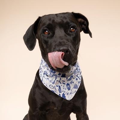 Show full view: The Paws Wander Dog Bandana, Blue, Small slide 5 of 7