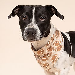 The Paws Blitz Dog Bandana, Brown, Small slide 2 of 6