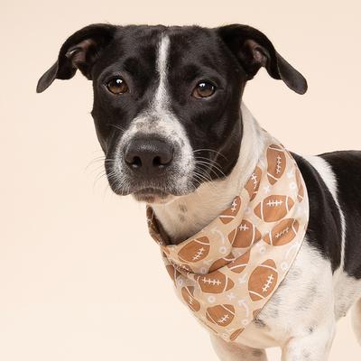 Show full view: The Paws Blitz Dog Bandana, Brown, Small slide 2 of 7