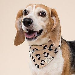 The Paws Urban Dog Bandana, Beige, Small slide 2 of 6