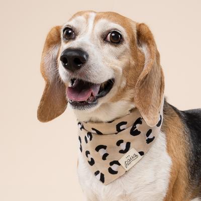 Show full view: The Paws Urban Dog Bandana, Beige, Small slide 2 of 6