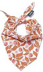 The Paws Apple Crisp Dog Bandana, Orange, Small