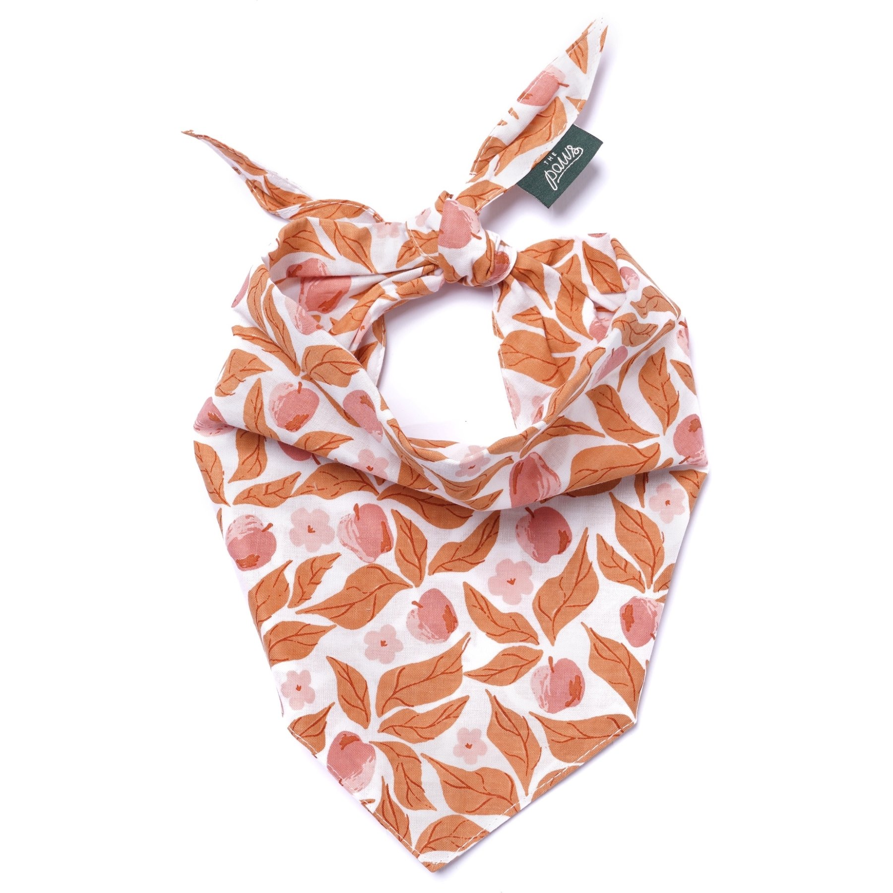 The Paws Apple Crisp Dog & Cat Bandana, Orange, Large