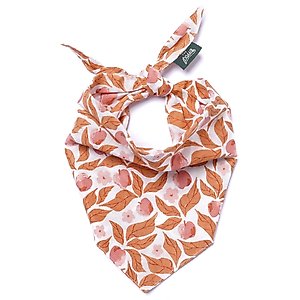 The Paws Apple Crisp Dog Bandana, Orange, Medium