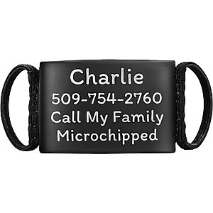 GoTags Silent Steel Personalized Cat & Dog ID Tag, Black, Large