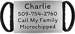 GoTags Silent Steel Personalized Cat & Dog ID Tag, Silver, Large
