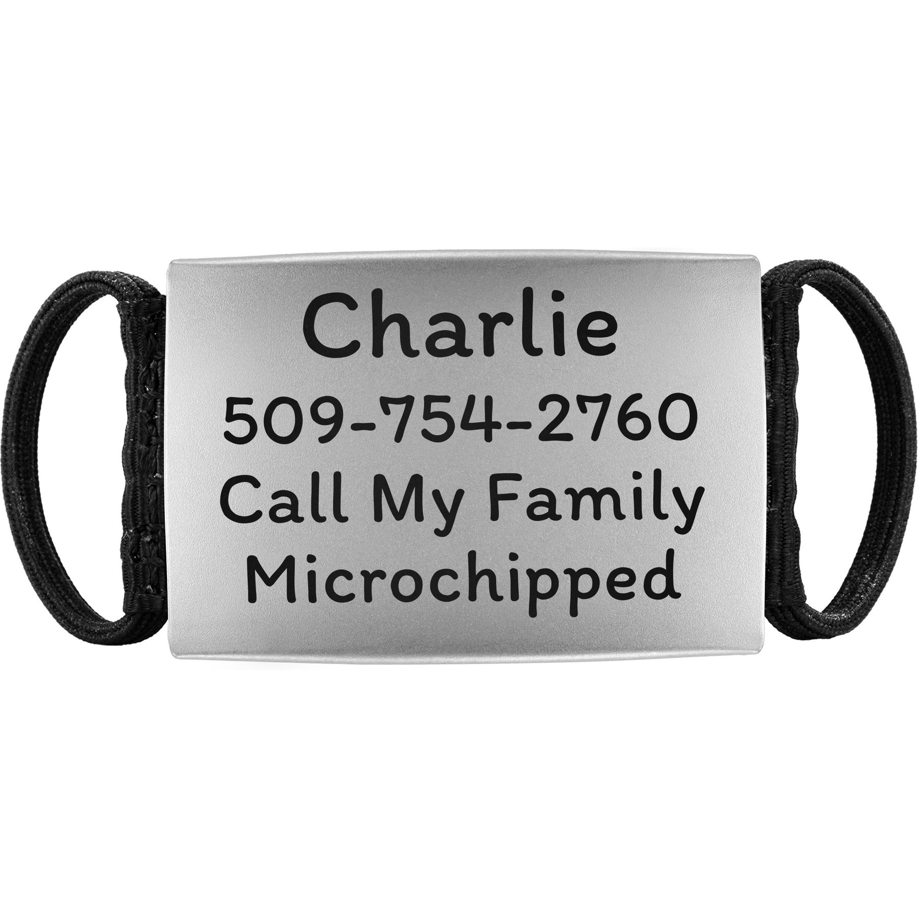 GoTags Silent Steel Personalized Cat & Dog ID Tag, Silver, Large