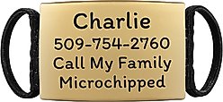 GoTags Silent Steel Personalized Cat & Dog ID Tag, Gold, Large