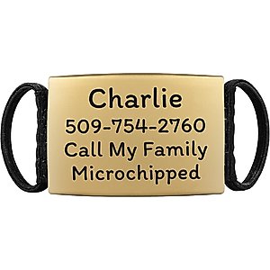 GoTags Personalized Stainless Steel with Enamel Paw Design Bone Shaped Pet ID Tag