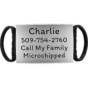 GoTags Silent Steel Personalized Cat & Dog ID Tag