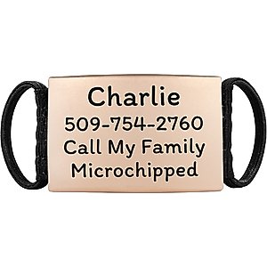 GoTags Silent Steel Personalized Cat & Dog ID Tag, Rose Gold, Small