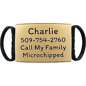 GoTags Personalized Stainless Steel with Enamel Paw Design Bone Shaped Pet ID Tag