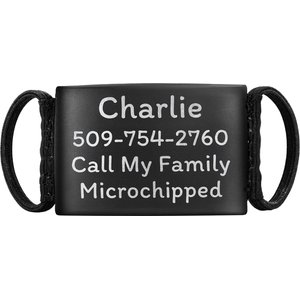 GoTags Engraved AirTag Dog & Cat Collar Holder