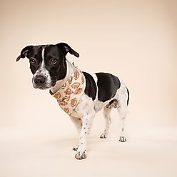 The Paws Blitz Dog Bandana, Brown, Large slide 2 of 6