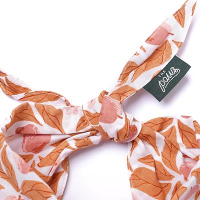 Show full view: The Paws Apple Crisp Dog Bandana, Orange, Small slide 4 of 5