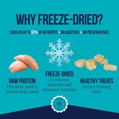 Show full view: Stewart Chicken Breast Single Ingredient Freeze-Dried Dog Treats, 14.8-oz tub slide 5 of 11