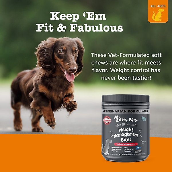 Show full view: Zesty Paws Vet Strength Weight Management Bites Chicken Flavored Chew Supplement for Dogs, 90 count slide 6 of 8