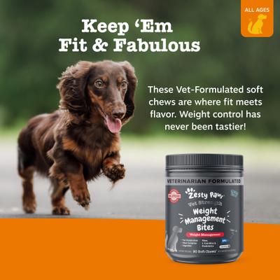 Show full view: Zesty Paws Vet Strength Weight Management Bites Chicken Flavored Chew Supplement for Dogs, 90 count slide 7 of 9