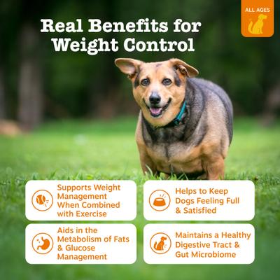 Show full view: Zesty Paws Vet Strength Weight Management Bites Chicken Flavored Chew Supplement for Dogs, 90 count slide 3 of 9