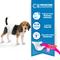 Show in main carousel: Wee-Wee Disposable Doggie Diapers, Medium, 12 count + Absorbent Dog Pads, 22" x 23", 50 count slide 4 of 11