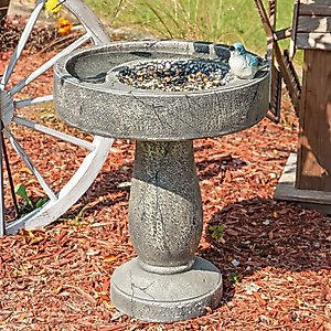 Sunnydaze Decor Bird Bath with Feeder Compartment, Grey