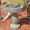 Show in main carousel: Sunnydaze Decor Bird Bath with Feeder Compartment, Grey slide 1 of 9