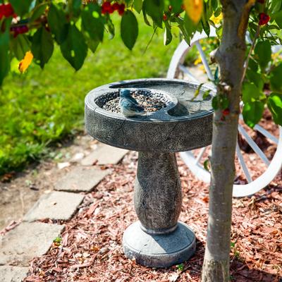 Show full view: Sunnydaze Decor Bird Bath with Feeder Compartment, Grey slide 6 of 9