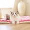 Show in main carousel: Mora Pets Ultra Soft Reversible Dog & Cat Pad, Pink, 42-in slide 9 of 10