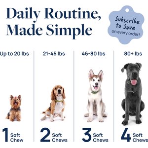 Veterinary Formula Smart Vitality Pork Flavor Soft Chew Eye Health Supplement for Dogs, 60 count