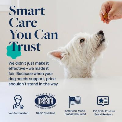 Show full view: Veterinary Formula Smart Vitality Pork Flavor Soft Chew Gut Health Supplement for Dogs, 60 count slide 7 of 11