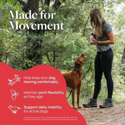 Show full view: Veterinary Formula Smart Vitality Pork Flavor Soft Chew Hip & Joint Supplement for Dogs, 60 count slide 3 of 10