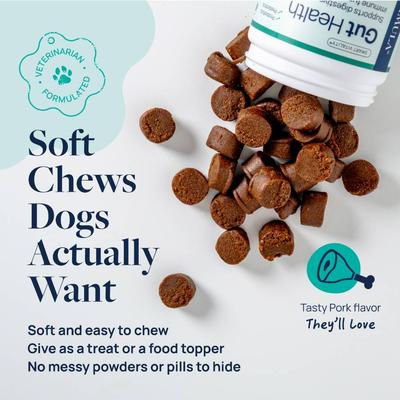 Show full view: Veterinary Formula Smart Vitality Pork Flavor Soft Chew Gut Health Supplement for Dogs, 60 count slide 6 of 11