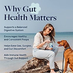 Veterinary Formula Smart Vitality Pork Flavor Soft Chew Gut Health Supplement for Dogs, 60 count slide 2 of 9