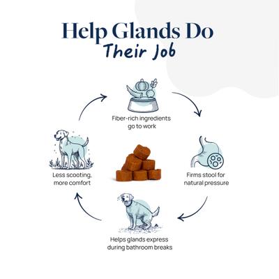 Show full view: Veterinary Formula Smart Vitality Pork Flavor Soft Chew Anal Gland Support Supplement for Dogs, 60 count slide 4 of 11