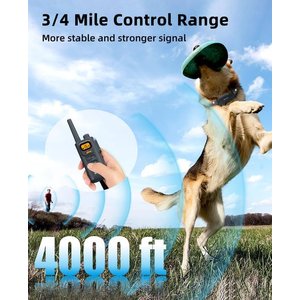 Bousnic 4000FT Extra Long Remote Range Waterproof Rechargeable Electronic Training Dog Collar, Grey