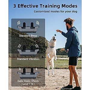 Bousnic 4000FT Extra Long Remote Range Waterproof Rechargeable Electronic Training Dog Collar, Grey