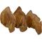 Show in main carousel: HOTSPOT PETS Whole Pig Ears Dog Chew Treats, Large, 6 count slide 1 of 9