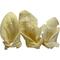 Show in main carousel: HOTSPOT PETS Whole Cow Ears with Base Dog Chew Treats, Large, 5 count slide 1 of 11