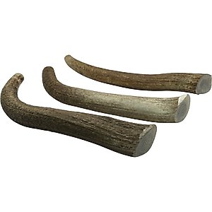 HOTSPOT PETS 8 to 9-in Whole Elk Antlers Dog Treats, X-Large, 2 count