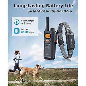 Bousnic 4000FT Extra Long Remote Range Waterproof Rechargeable Electronic Training Dog Collar, Grey
