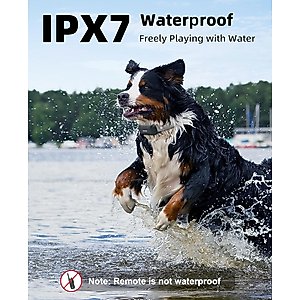 Bousnic 4000FT Extra Long Remote Range Waterproof Rechargeable Electronic Training Dog Collar, Grey