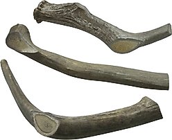 The Treat Shack Whole Naturally Shed 10-in Deer Antler Dog Treats, Giant, 2 count slide 1 of 8
