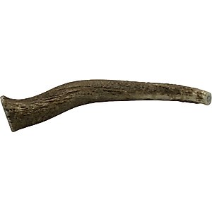 The Treat Shack 8 to 9-in Whole Elk Antler Dog Treats, X-Large, 1 count